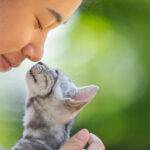 Recibir un gato en casa: el inicio de una relación para toda la vida.