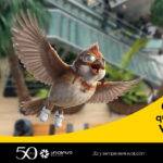 UF! Unifest 2026: Unicentro Bogotá impulsa el consumo en el arranque del año con descuentos que se pasan volando.