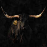 LOS DEL NORTH TEXAS PRESENTAN “INNOVACION”, SU PRIMER ÁLBUM Y EL INICIO DE UNA NUEVA ETAPA MUSICAL